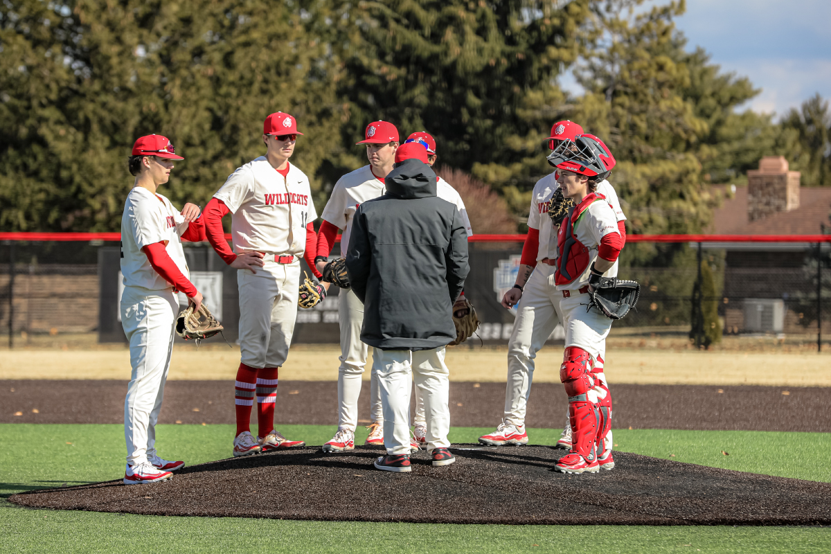 Student-Athlete Excellence Fund